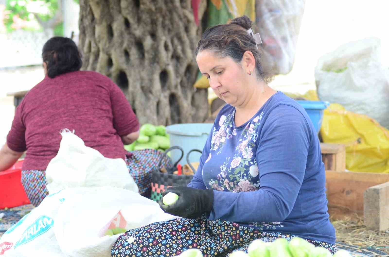 nazillide kurutmalik sebze oymaciligi bacasiz fabrikaya donustu 5 8BdRYqHb