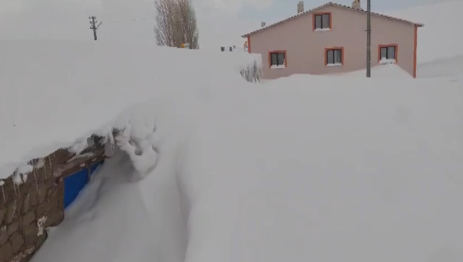 ne kamcatka ne alaska sivasta bina boyu kar yagdi 0 8BvclNf9