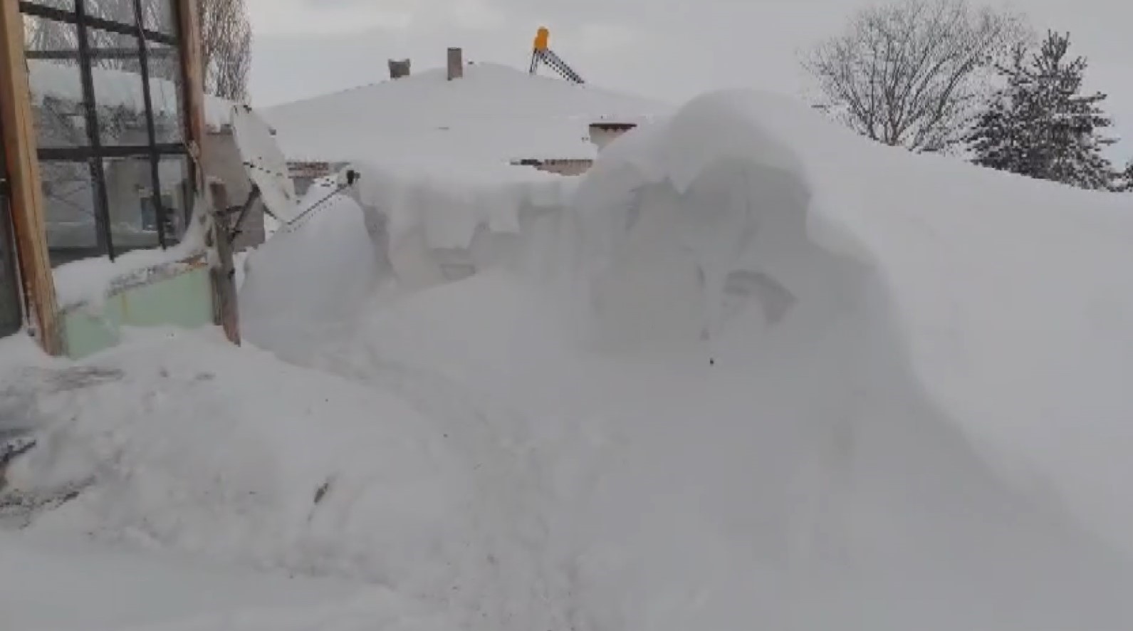 ne kamcatka ne alaska sivasta bina boyu kar yagdi 1 QaCantFZ