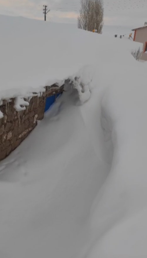 ne kamcatka ne alaska sivasta bina boyu kar yagdi 4 Zfezspcn