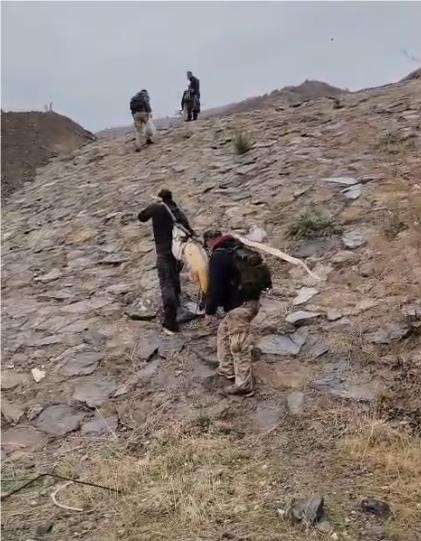 nehirde yakalanan 60 kiloluk dev turna baligini cam sirigina baglayip tasidilar 1 QZ5vMk1Q
