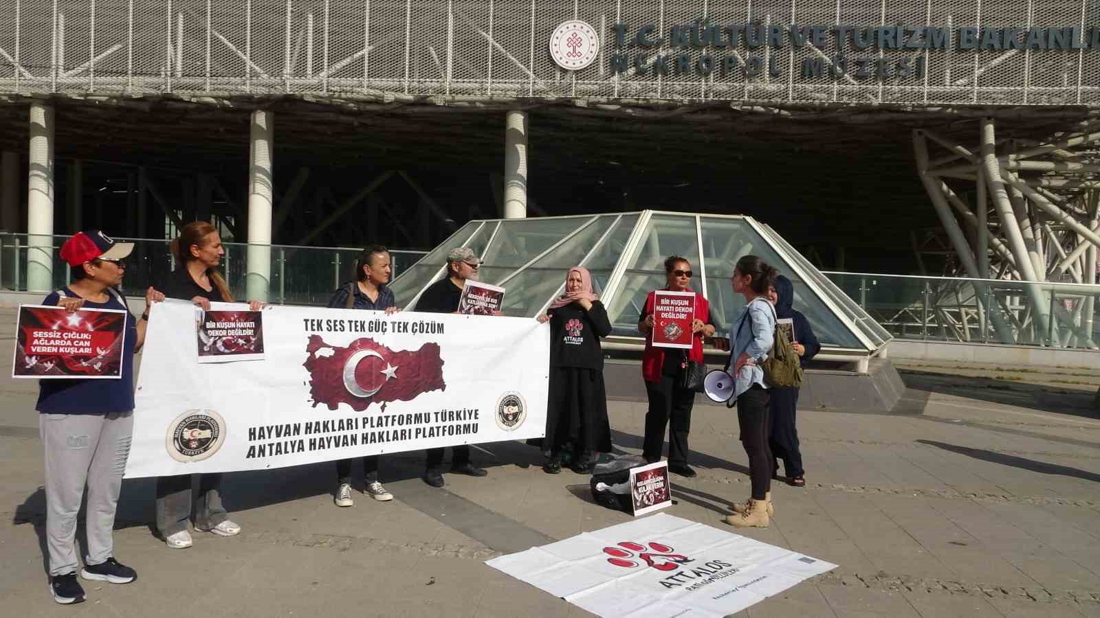 nekropolde guvercinleri olume goturen dikenli tel ve ag sistemi 4 Q3jEMHSH