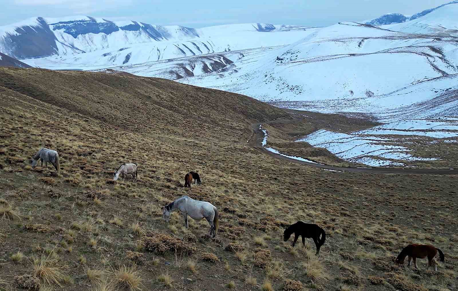 nemrut kalderasinda at surusunun gizemli yolculugu 1