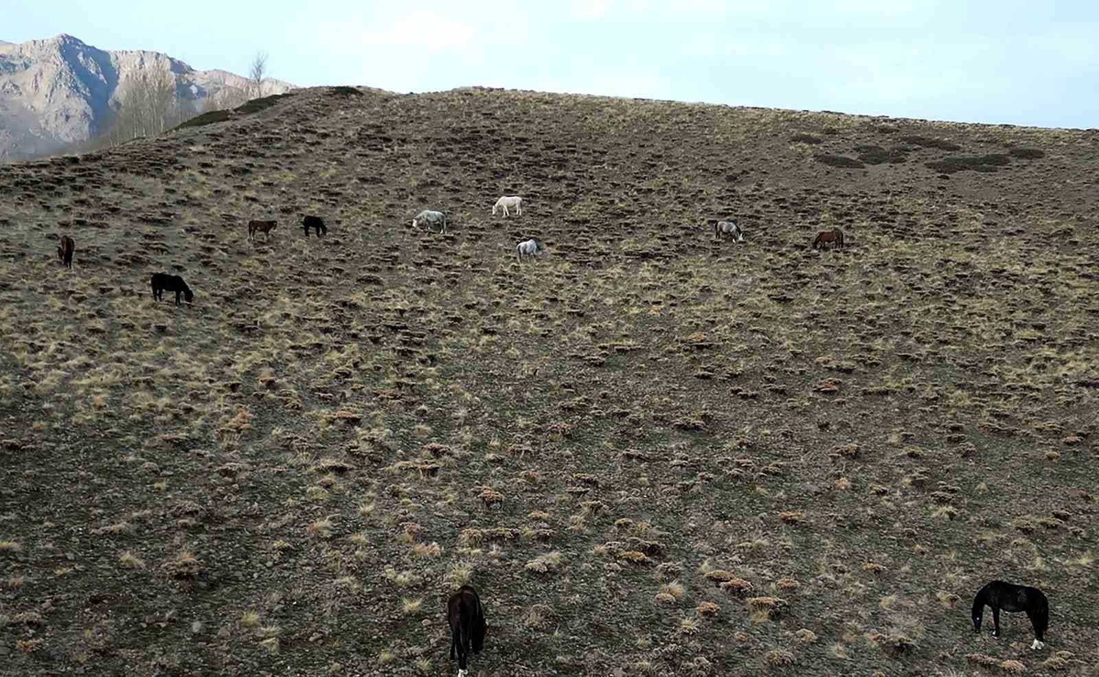 nemrut kalderasinda at surusunun gizemli yolculugu 3 FBf9W5OQ