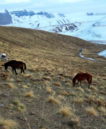 nemrut-kalderasinda-at-surusunun-gizemli-yolculugu-StGFzRwK.jpg