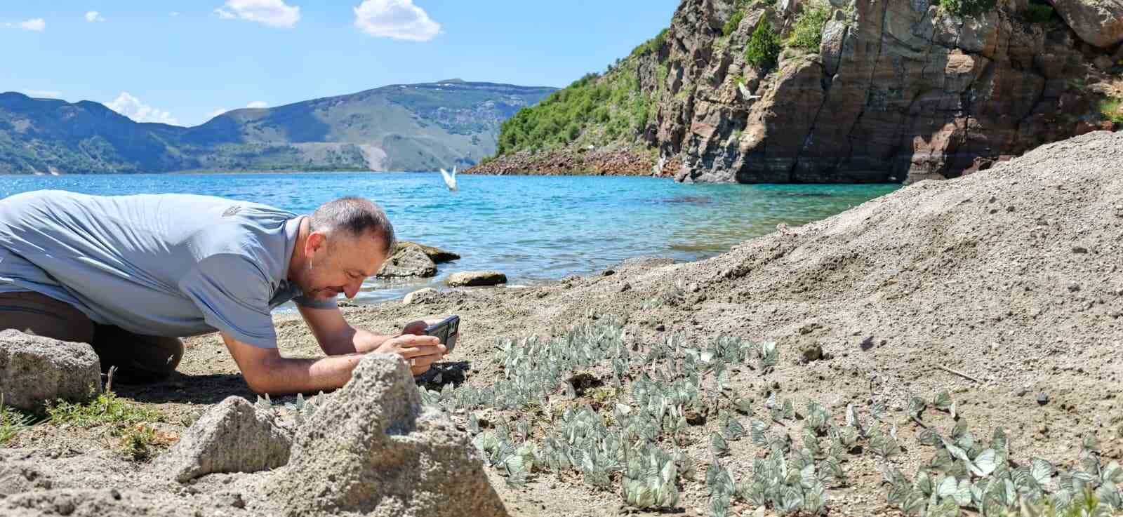 nemrut krater golunde sasirtan doga olayi alic kelebegi yogunlugu dikkat cekti 1 MIMcejAb