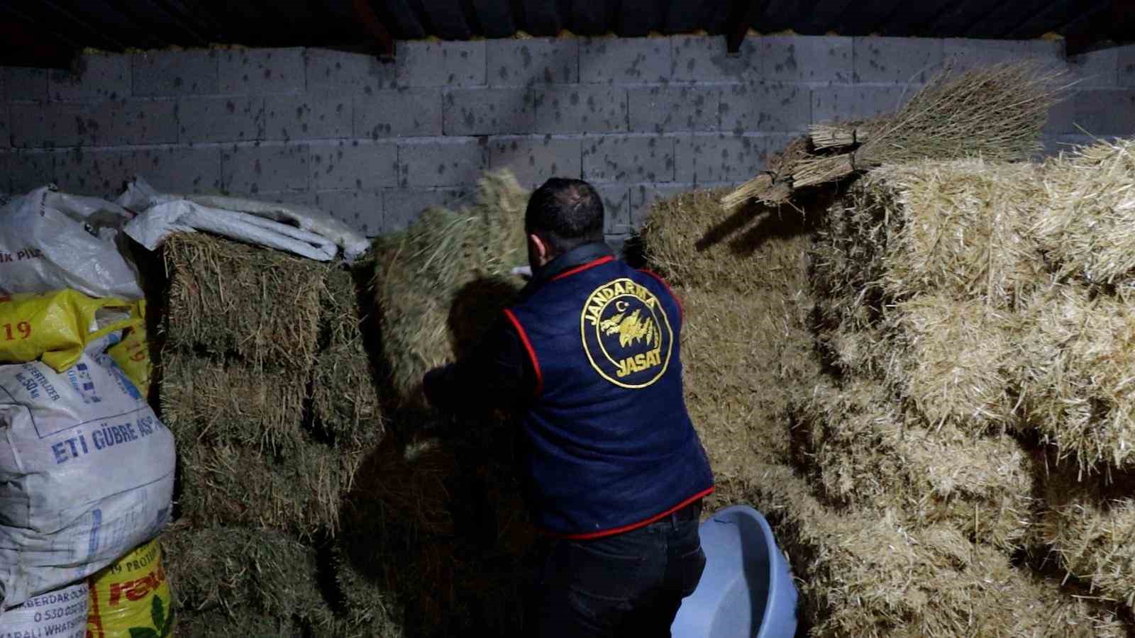 nevsehir il jandarma komutanligindan 3 ilde operasyon 4 gozalti 2