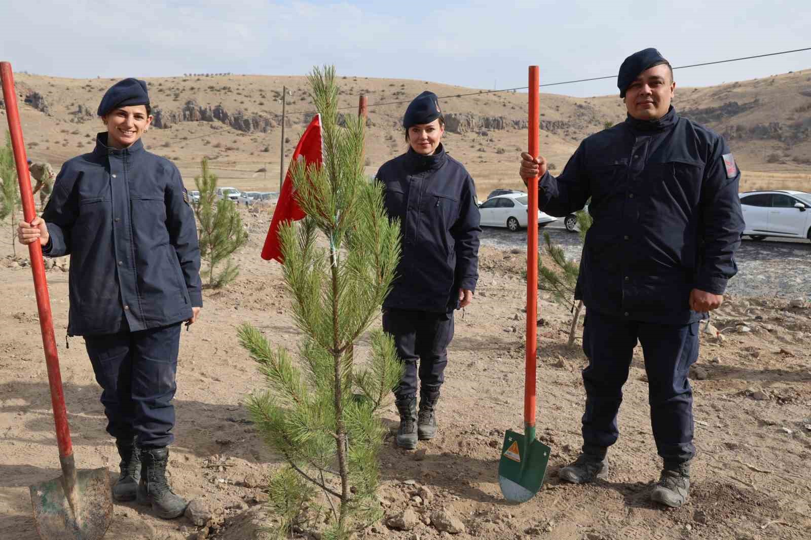 nevsehirde 18 bin 500 fidan toprakla bulustu 2 jJ97H2nd