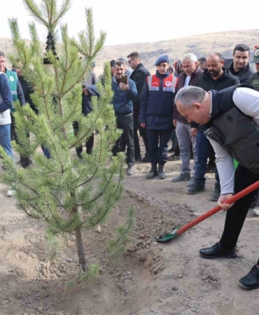 nevsehirde-18-bin-500-fidan-toprakla-bulustu-QyKer7Wf.jpg