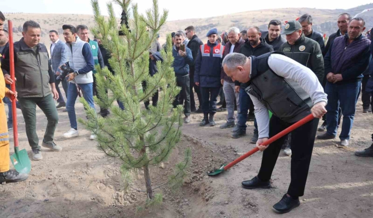 nevsehirde-18-bin-500-fidan-toprakla-bulustu-QyKer7Wf.jpg