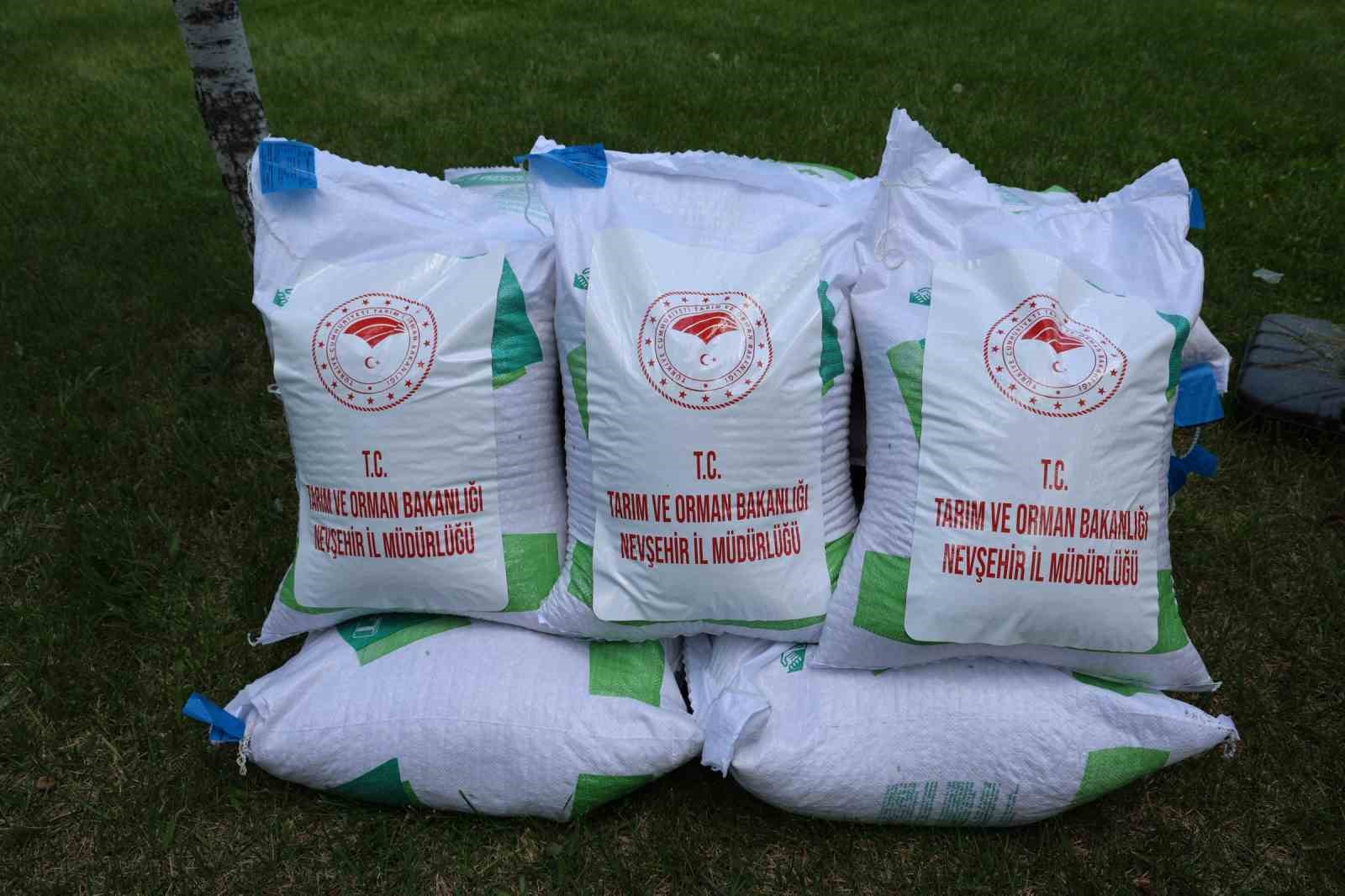 Nevşehir’de çiftçilere 22 ton tohumluk kuru fasulye dağıtıldı 5 nevsehirde ciftcilere 22 ton tohumluk kuru fasulye dagitildi 1 j3au6Twj