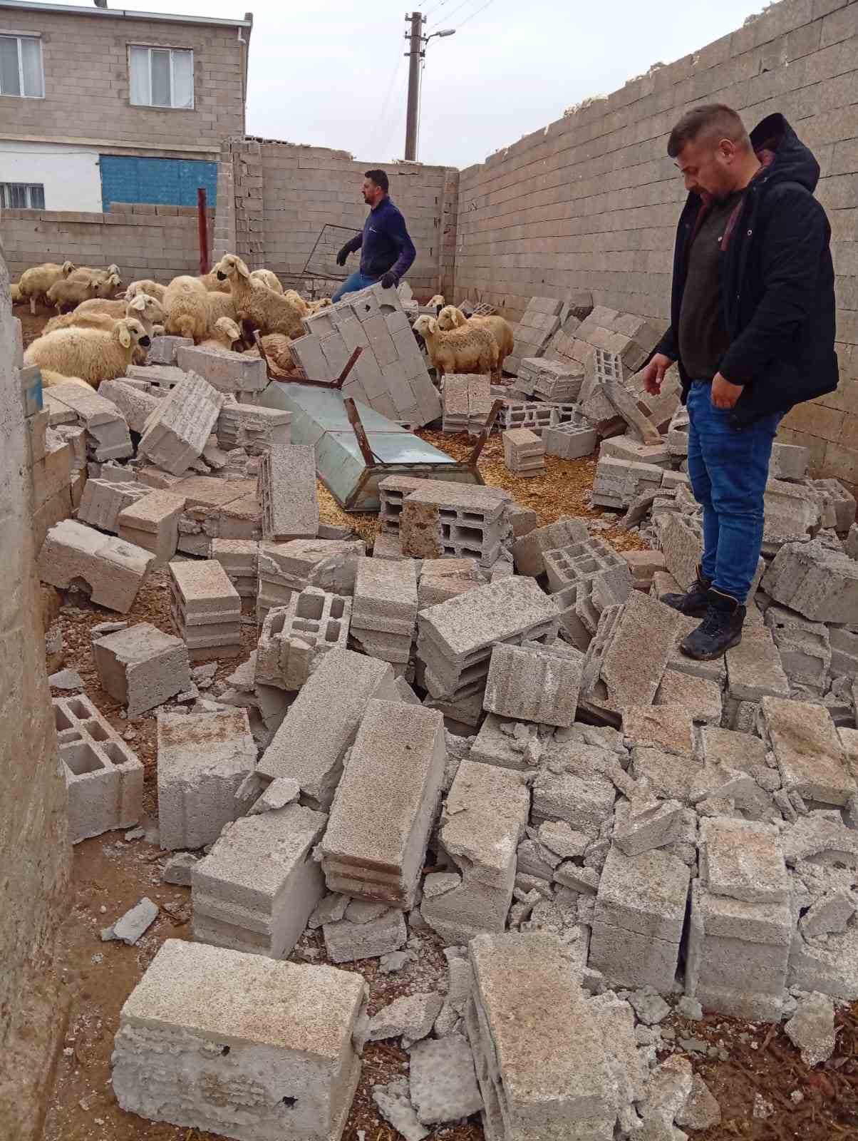 nevsehirde firtina agil ve mandirayi vurdu 12 koyun telef oldu 3 JuwHw1p2