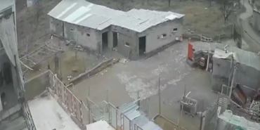 nevsehirde-firtina-agil-ve-mandirayi-vurdu-12-koyun-telef-oldu-6HJUOdGc.jpg