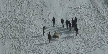 nevsehirde-kopek-dovusune-jandarma-baskini-NKNL7jZs.jpg