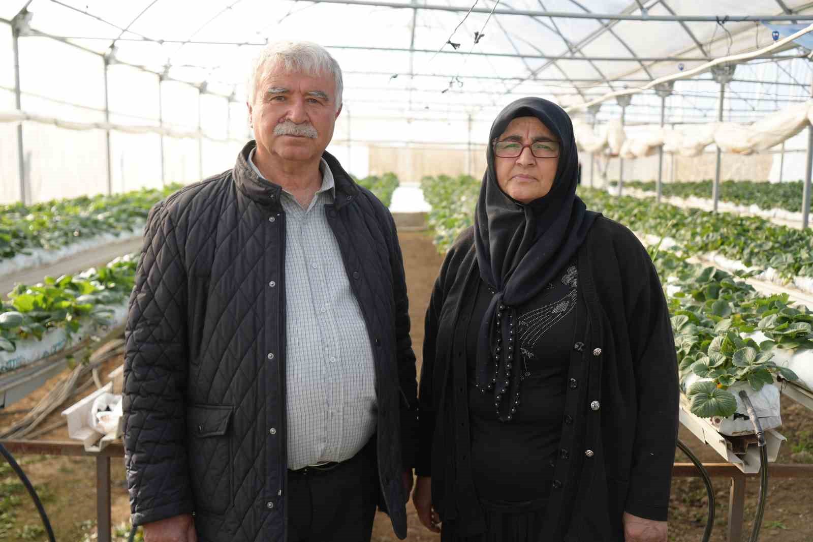 nigdede topraksiz tarim yontemiyle cilek uretimi kadin emegiyle buyuyor 0 CfOa87fn