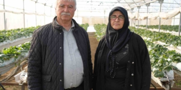 nigdede-topraksiz-tarim-yontemiyle-cilek-uretimi-kadin-emegiyle-buyuyor-nyetnLF2.jpg