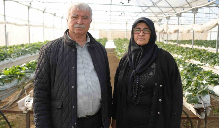 nigdede-topraksiz-tarim-yontemiyle-cilek-uretimi-kadin-emegiyle-buyuyor-nyetnLF2.jpg