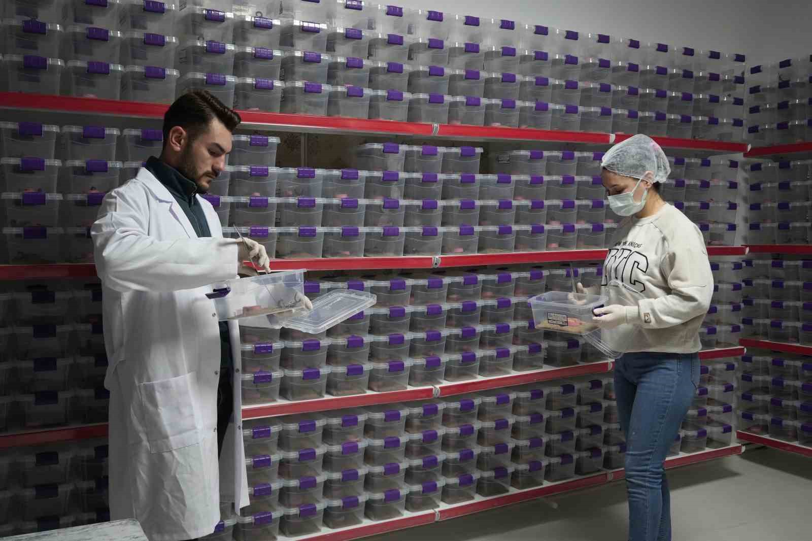 nigdeden dunyaya akrep zehri ihracati 5 jZA57yaQ