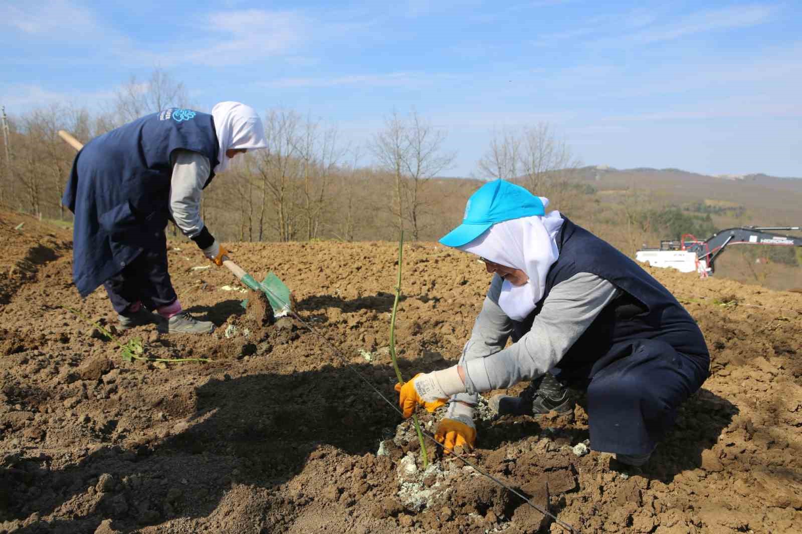 Nilüfer’de atıl araziler bereketleniyor 5 niluferde atil araziler bereketleniyor 1 JFB3Ek8G