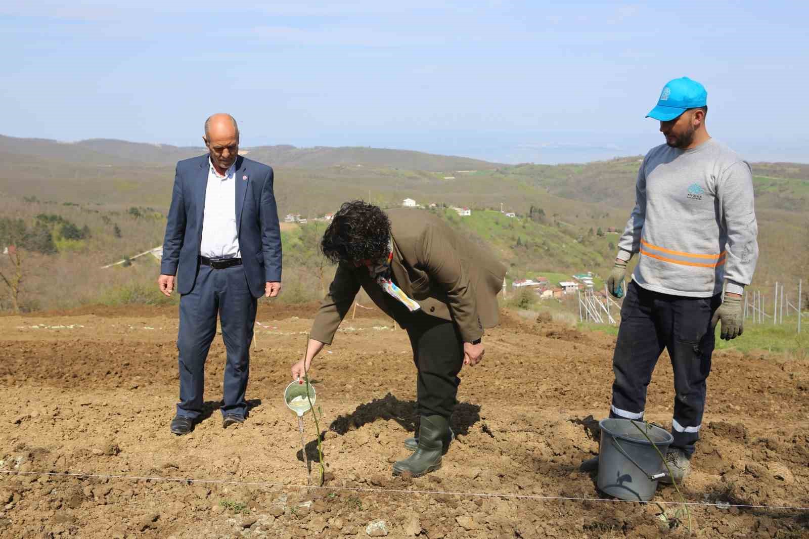 Nilüfer’de atıl araziler bereketleniyor 6 niluferde atil araziler bereketleniyor 2 gi3Cqrl4