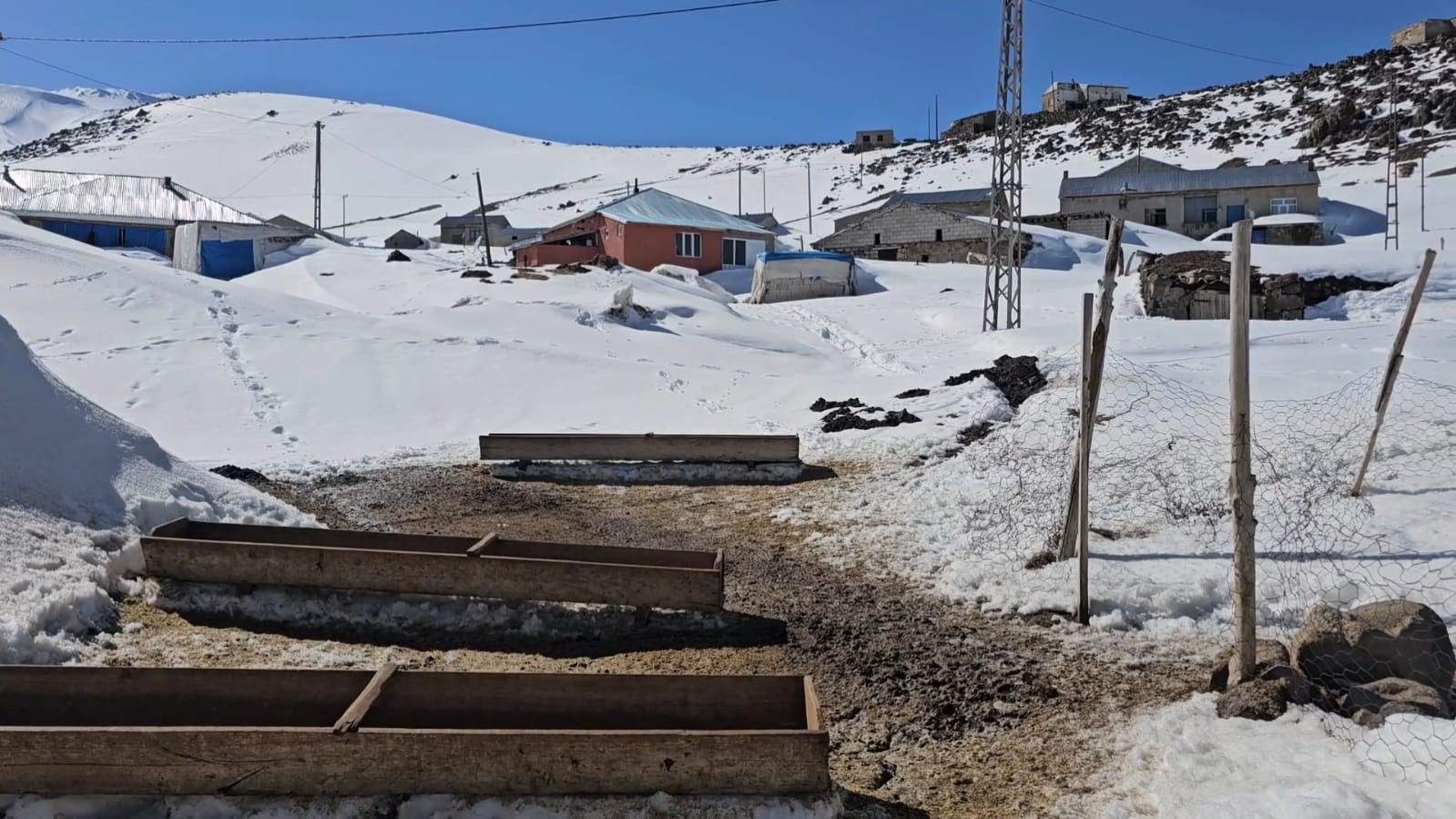 nisanda kara gomulen mahalle kiskiliya bahar gelmedi 0 RtTjNgFb
