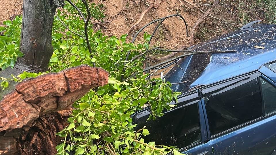 odemiste heyelan gocuk altinda kalan arac hurdaya dondu 1 KEhpZuEQ