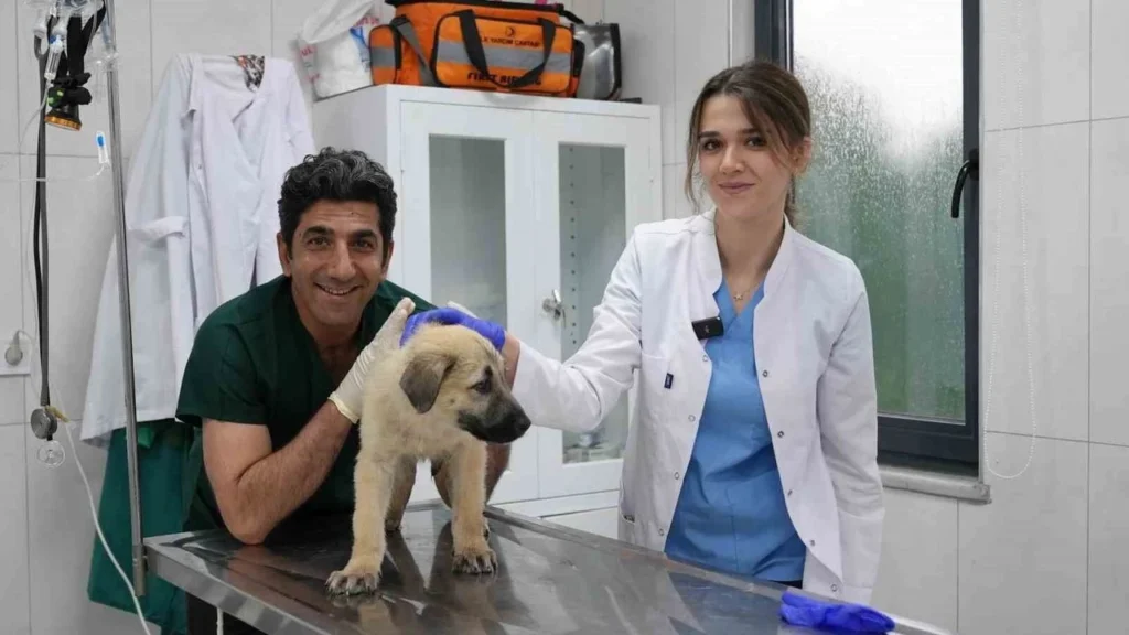 Ödüllü Hayvan Bakım Merkezi can dostlara umut oluyor 6 odullu hayvan bakim merkezi can dostlara umut oluyor