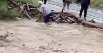 odun-ugruna-canini-hice-sayarak-dereye-giren-vatandasin-o-anlari-kamerada-lyAs4mhw.jpg