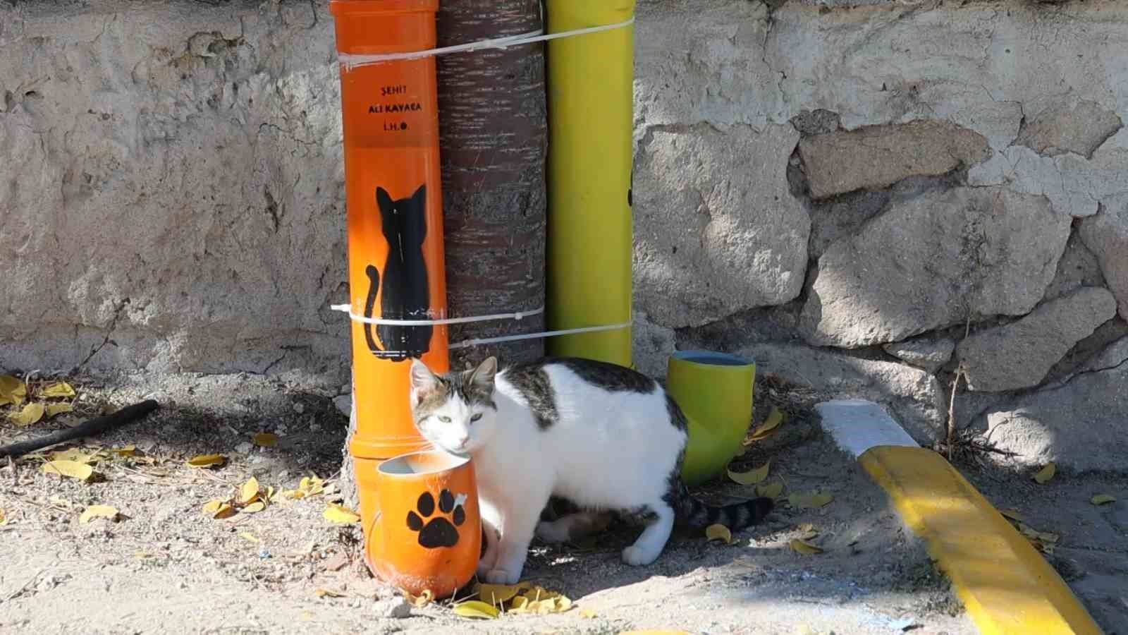ogrenciler hem cevre bilincini hem hayvan sevgisini bir araya getirdi 1 ilA7z7r8