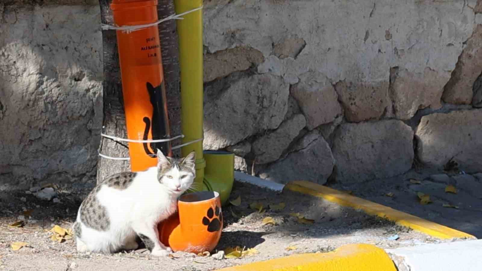 ogrenciler hem cevre bilincini hem hayvan sevgisini bir araya getirdi 2 7dsJw5da