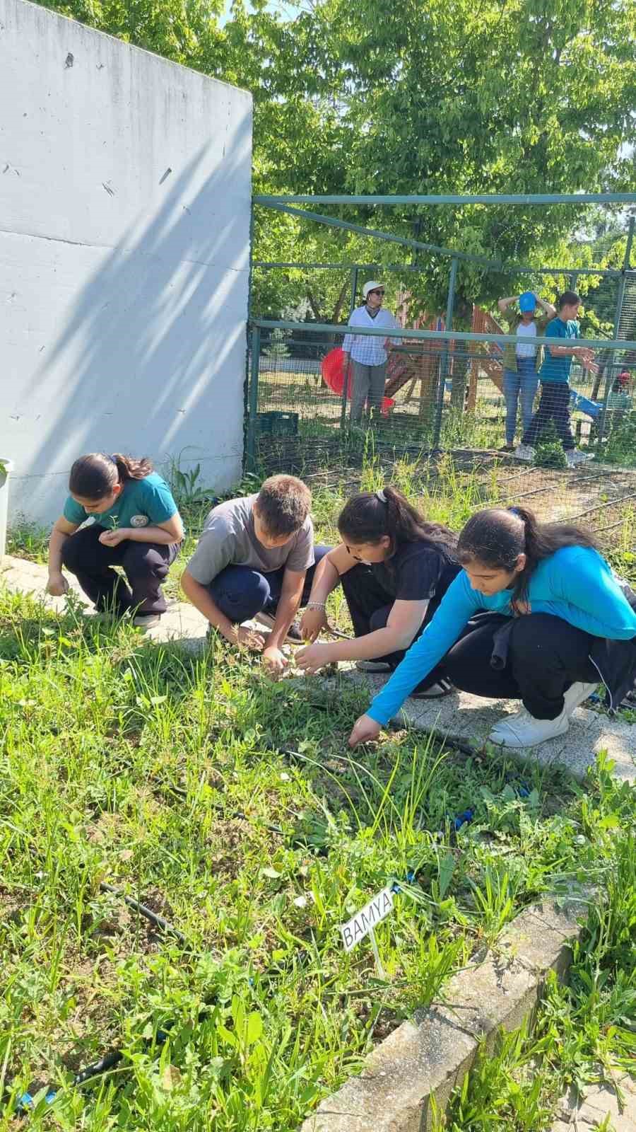 ogrenciler kendi bitkilerini yetistirecek 1 2uu6by2f