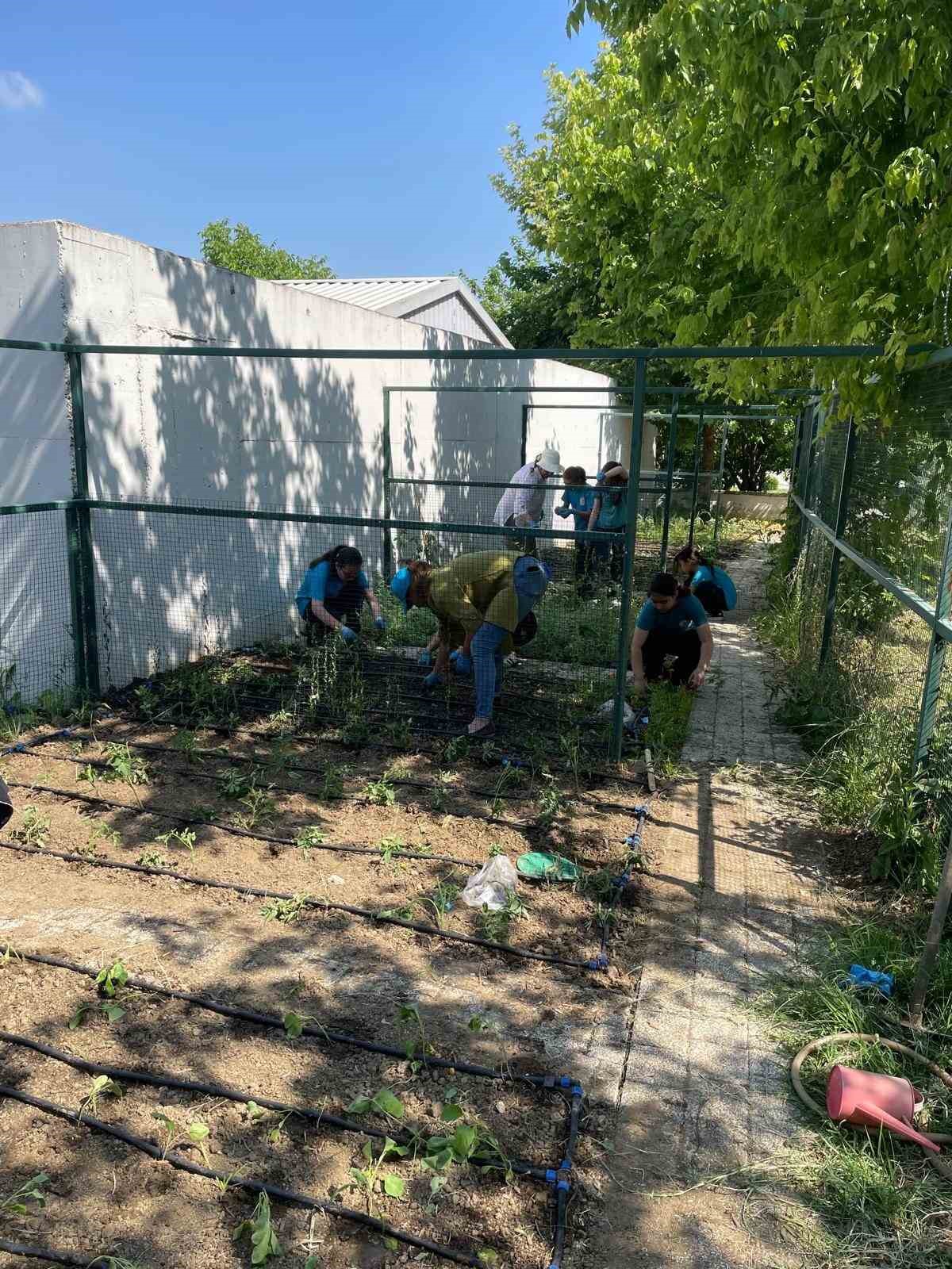 ogrenciler kendi bitkilerini yetistirecek 2