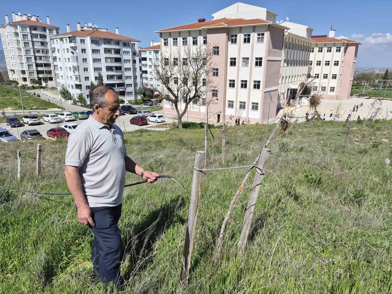 Öğrenciler yorulmasın, fidanlar kurumasın diye muhtar kolları sıvadı 6 ogrenciler yorulmasin fidanlar kurumasin diye muhtar kollari sivadi 2 mN3AR5vf