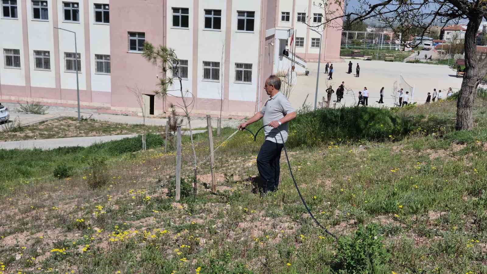 Öğrenciler yorulmasın, fidanlar kurumasın diye muhtar kolları sıvadı 9 ogrenciler yorulmasin fidanlar kurumasin diye muhtar kollari sivadi 5 JUGPJDhc