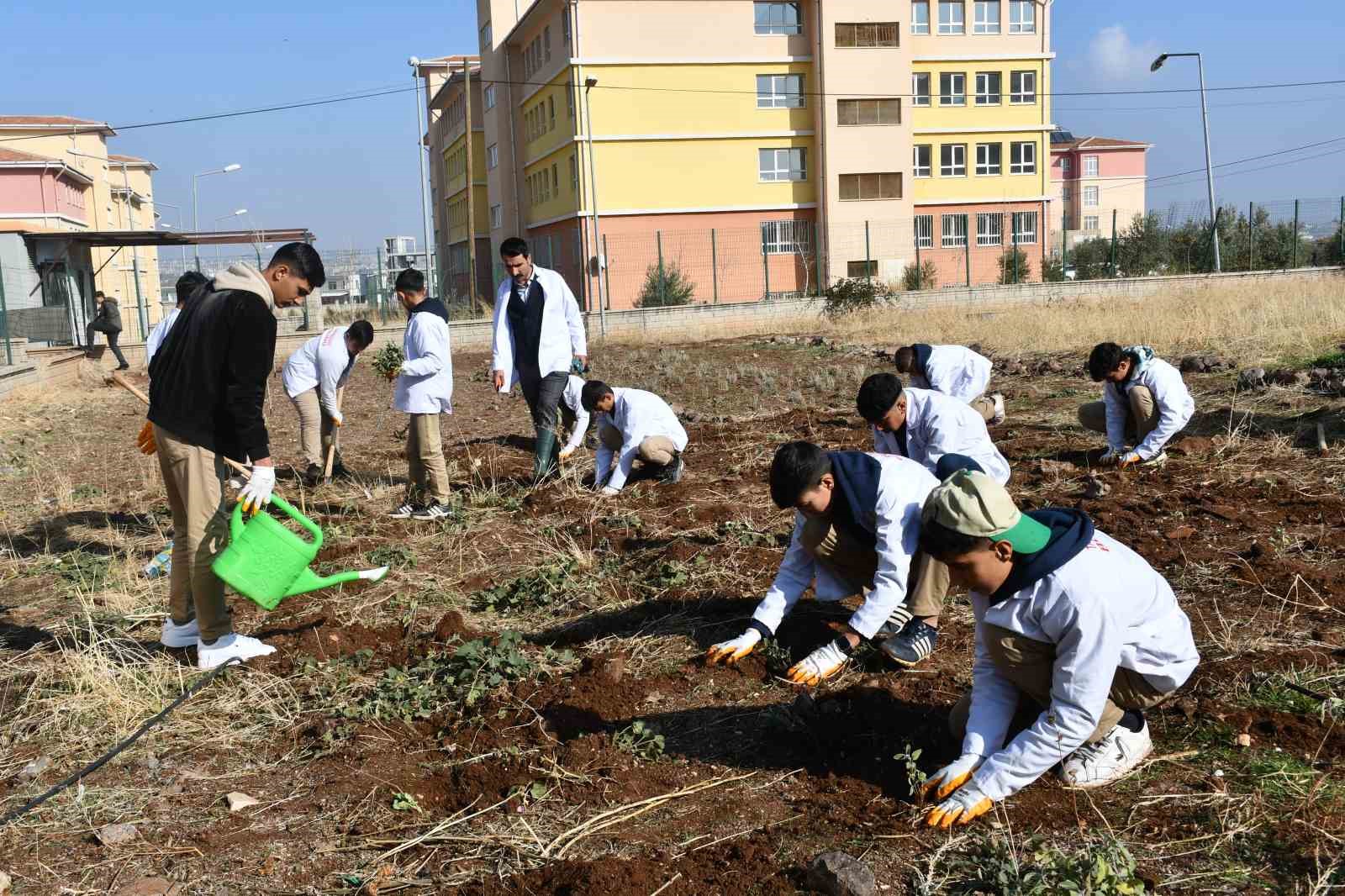 ogrencilere tohumdan sofraya tarim egitimi 2 pika2Mde