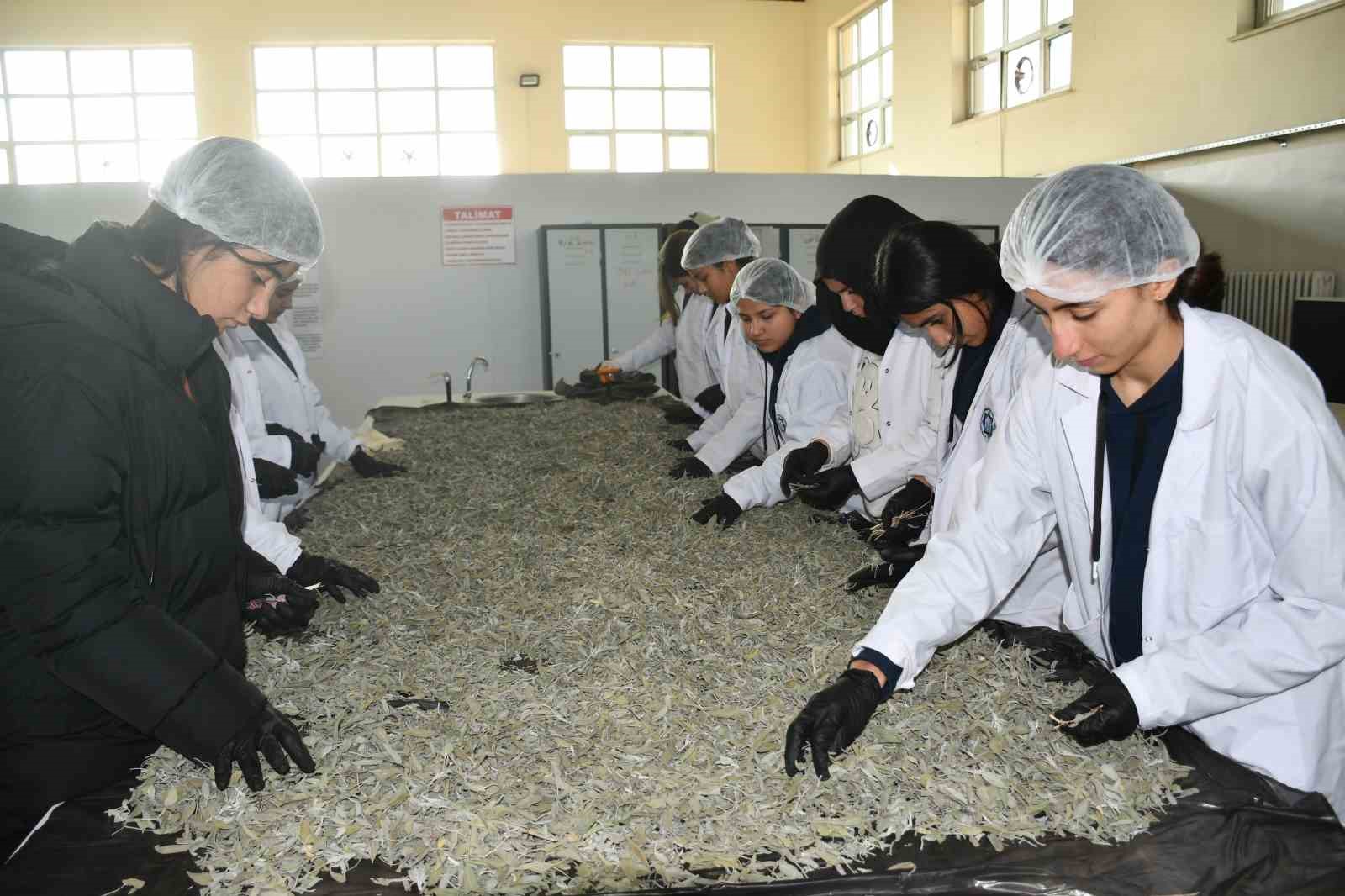 ogrencilere tohumdan sofraya tarim egitimi 7 3ppEz8ui