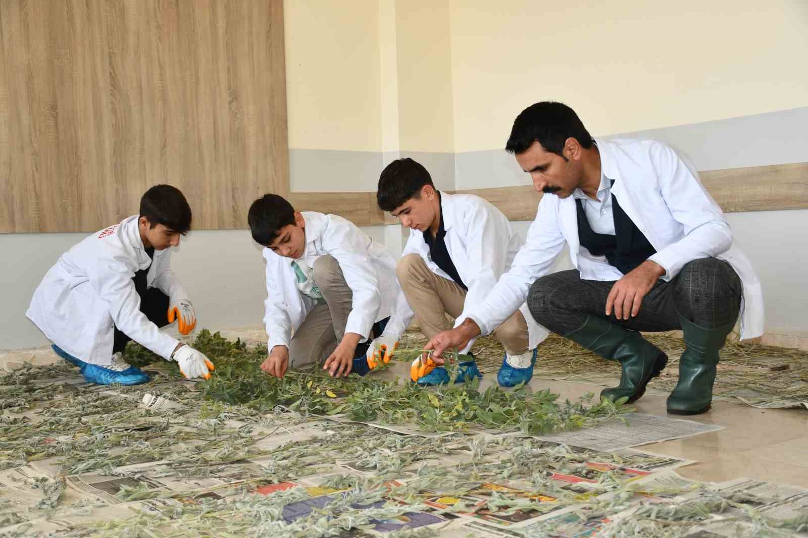 ogrencilere tohumdan sofraya tarim egitimi 8 vISN7zIw
