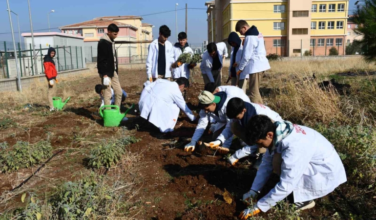 ogrencilere-tohumdan-sofraya-tarim-egitimi-JGcJrZRa.jpg