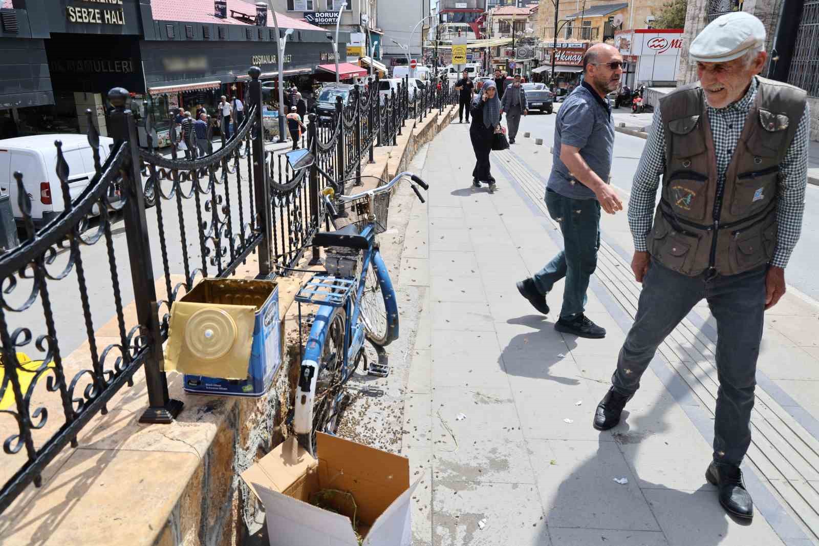 ogul veren kovandan ayrilan arilar bir bisiklette toplandi 6