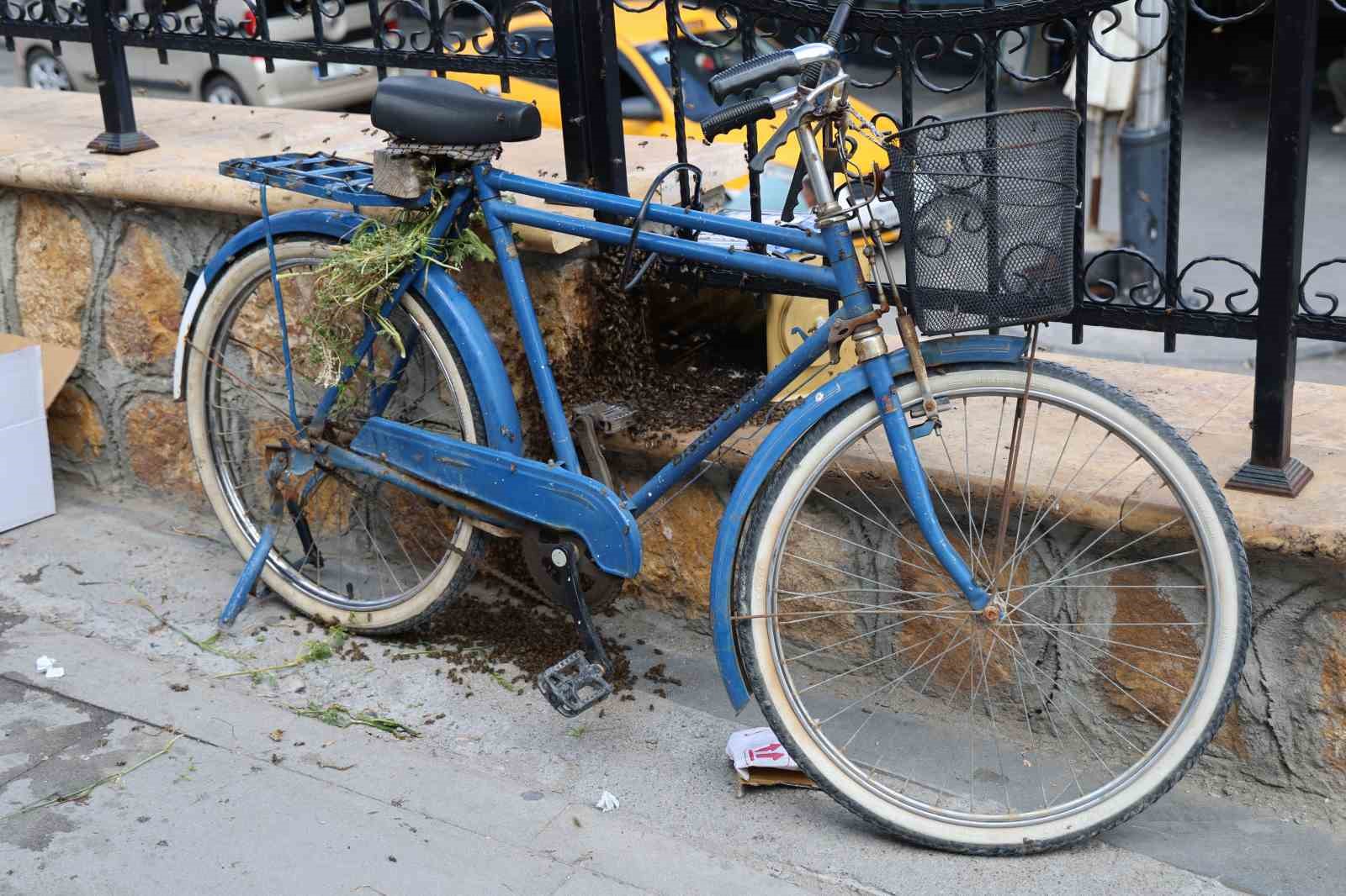 ogul veren kovandan ayrilan arilar bir bisiklette toplandi 7