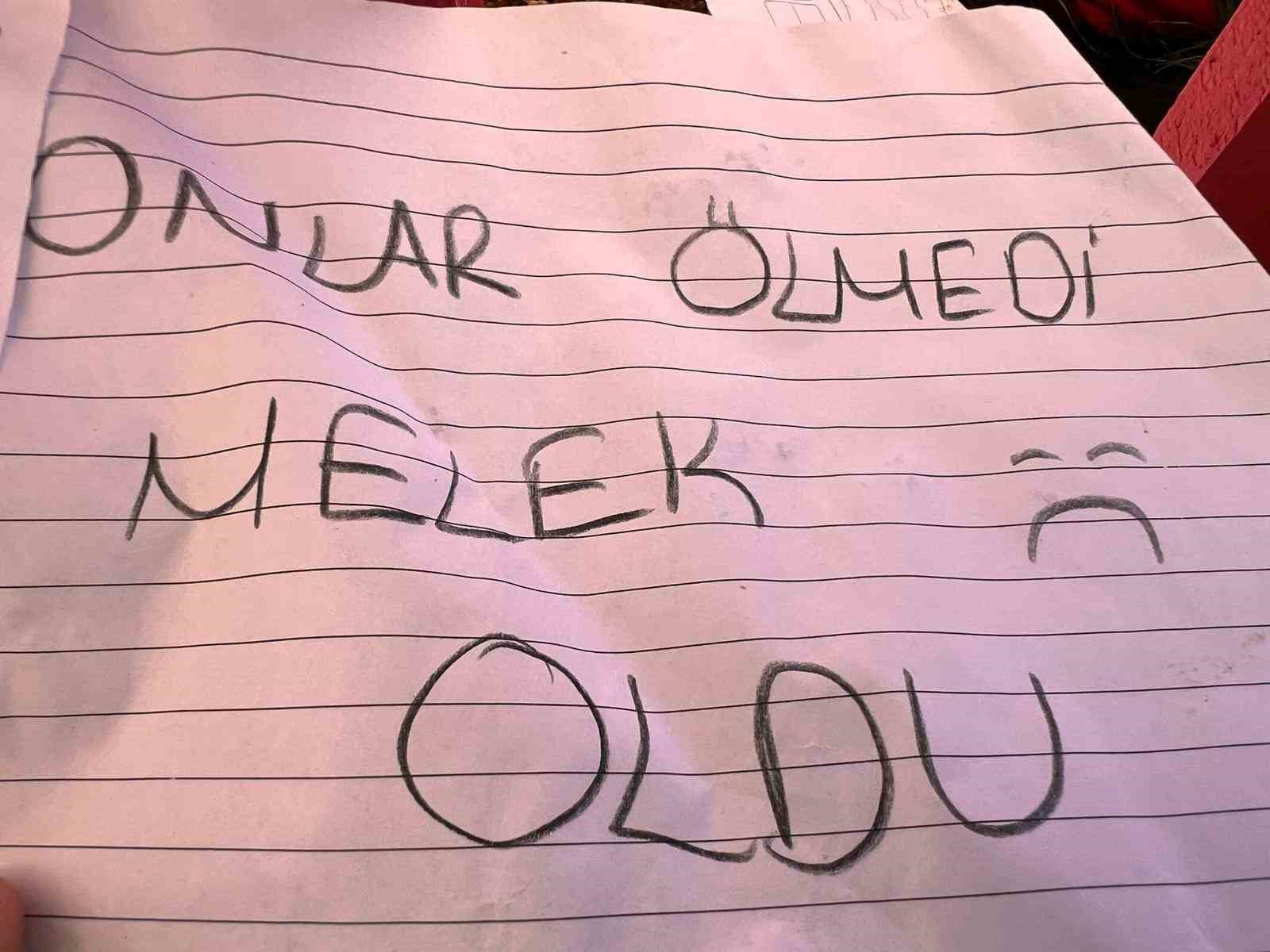 okul saldirisinda hayatini kaybeden alminanin mezari pembeye boyandi 3 awgWc5kj