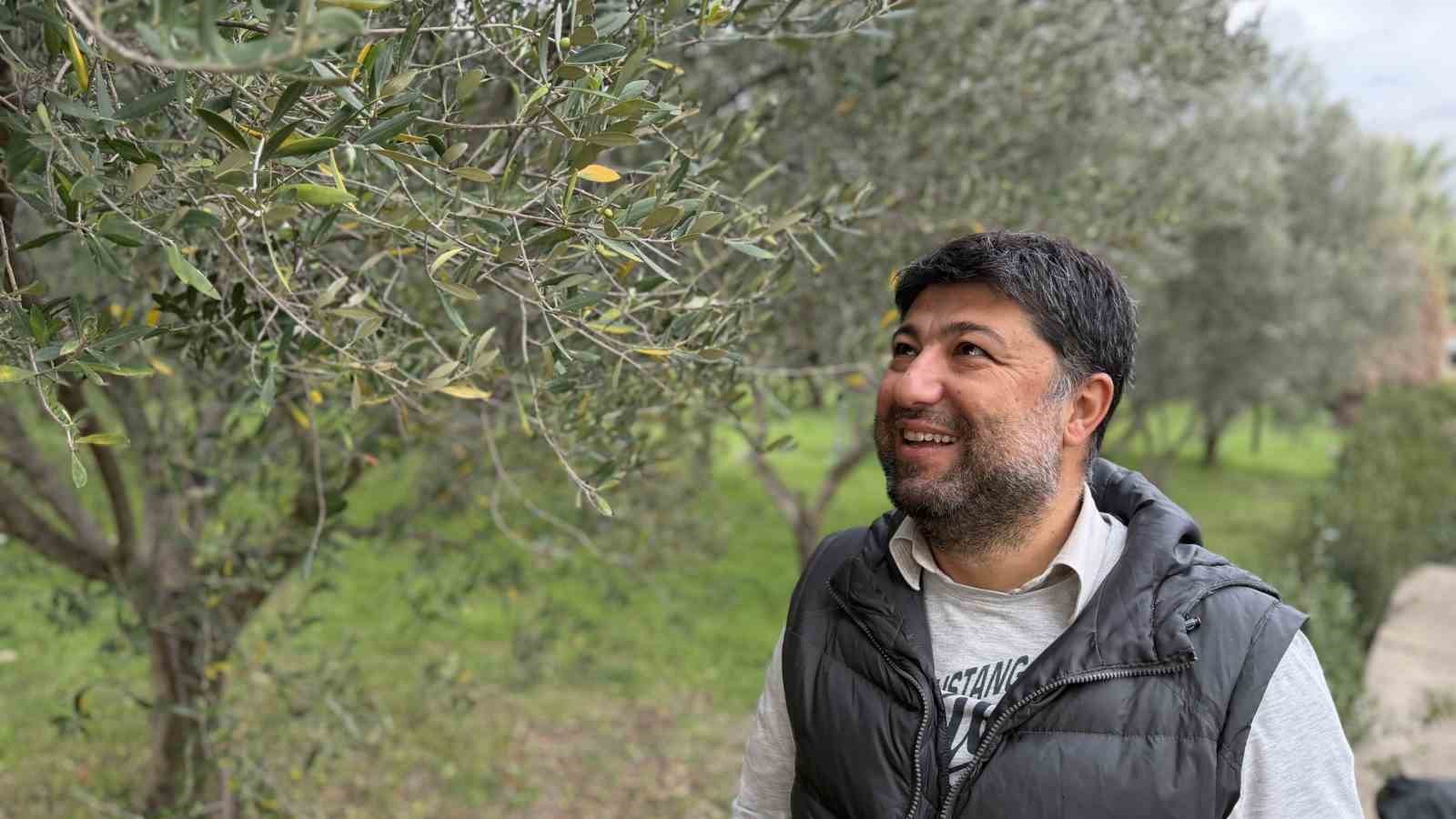 oleolog dr kivrak erken ve olgun hasat zeytinyaglari farkli iceriklere sahiptir 2 wRK7ChwS