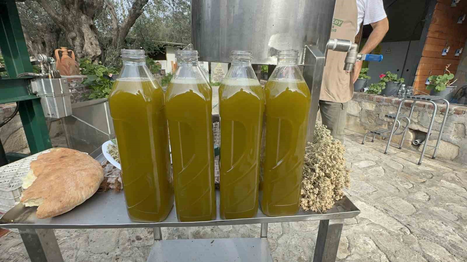 oleolog dr kivrak erken ve olgun hasat zeytinyaglari farkli iceriklere sahiptir 5 gWY4Z98X