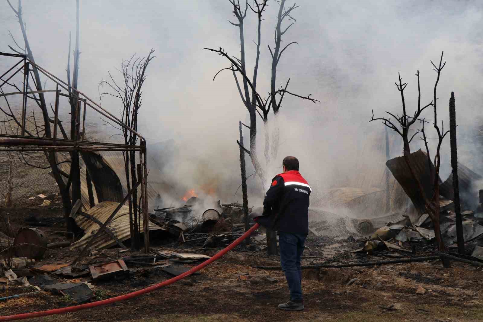 oltuda korkutan yangin ari kovanlari yandi 4 saIghB9M