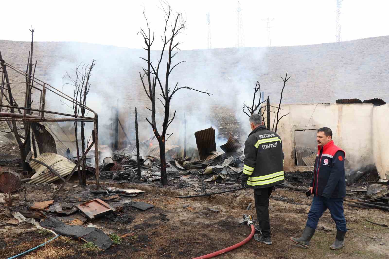 oltuda korkutan yangin ari kovanlari yandi 5 7et4nWKY