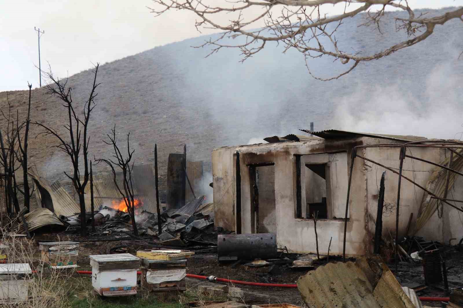 oltuda korkutan yangin ari kovanlari yandi 6 i3weNk6z