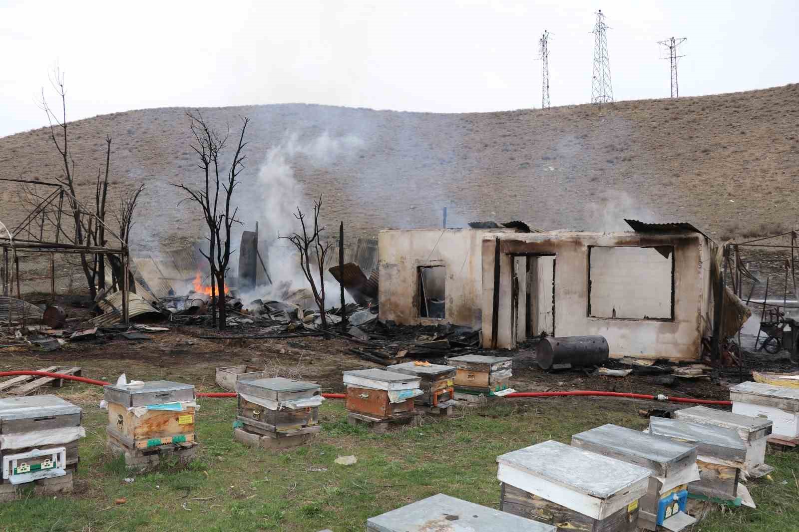 oltuda korkutan yangin ari kovanlari yandi 7 MWHOJq1H