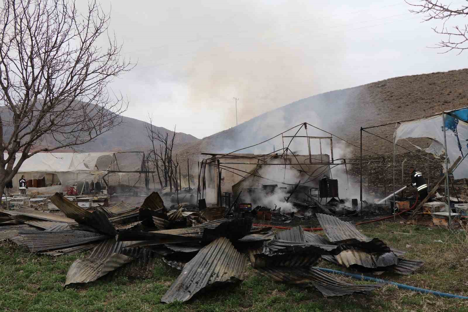 oltuda korkutan yangin ari kovanlari yandi 8 MsjzL3Nk