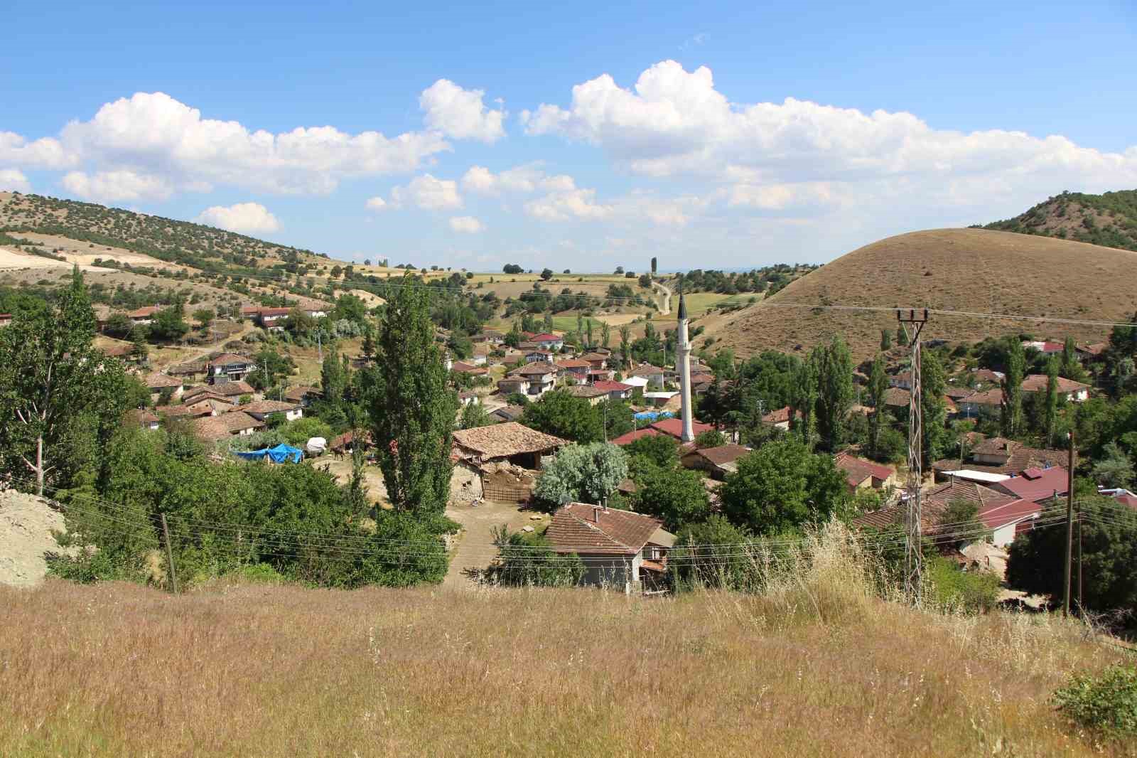 olumcul kenelere karsi binlerce kinali keklik 4 2aQJNmKn