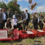 olumcul-kenelere-karsi-binlerce-kinali-keklik-CXkASyj6.jpg